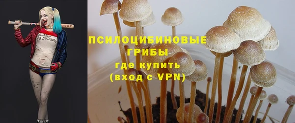 прущие крисы Надым