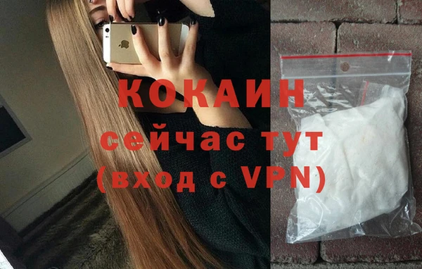 стаф Белокуриха