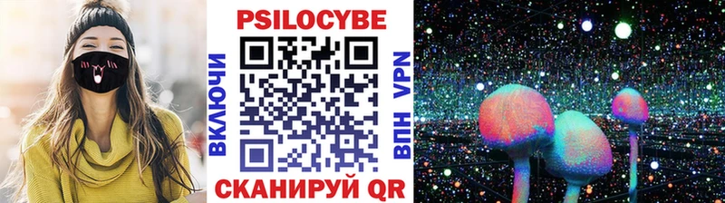 где купить наркотик  Бобров  kraken ССЫЛКА  Галлюциногенные грибы прущие грибы 