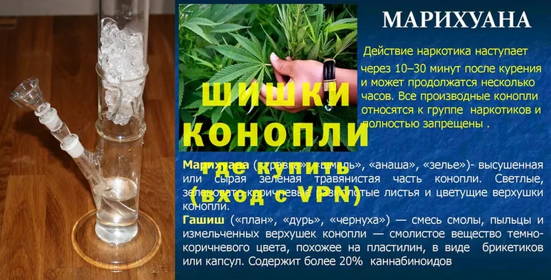 Бошки марихуана THC 21%  Бобров 